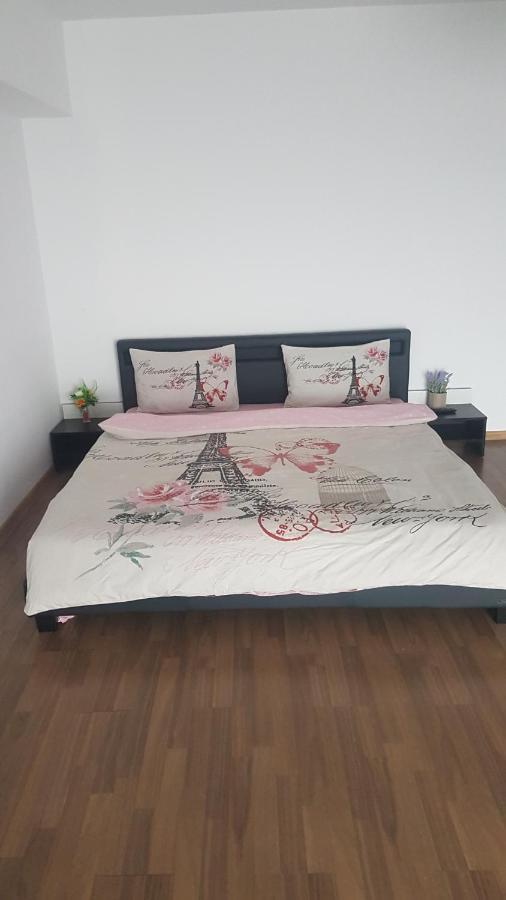 Relax 2 Central Apartment Bacau Ngoại thất bức ảnh